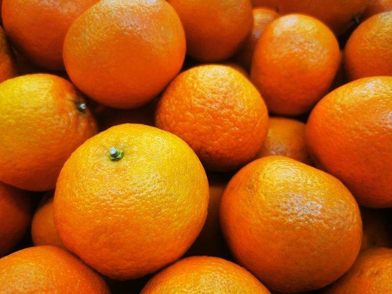 みずみずし果実工房株式会社 14